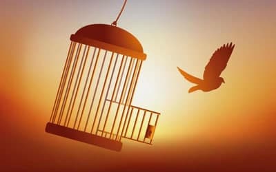 نذر آزادی به مناسبت ایام فاطمیه